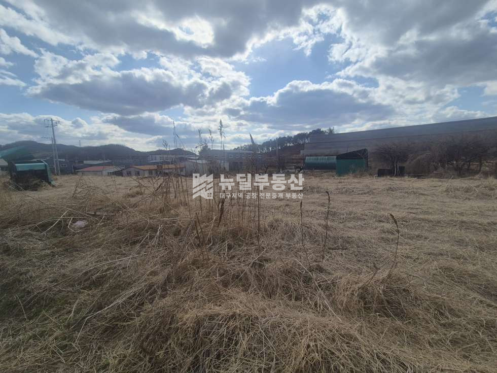 경북 칠곡군 지천면 신리 (매매)칠곡지천신리1118평/물류센터 매매 매물번호 10277 사진 2